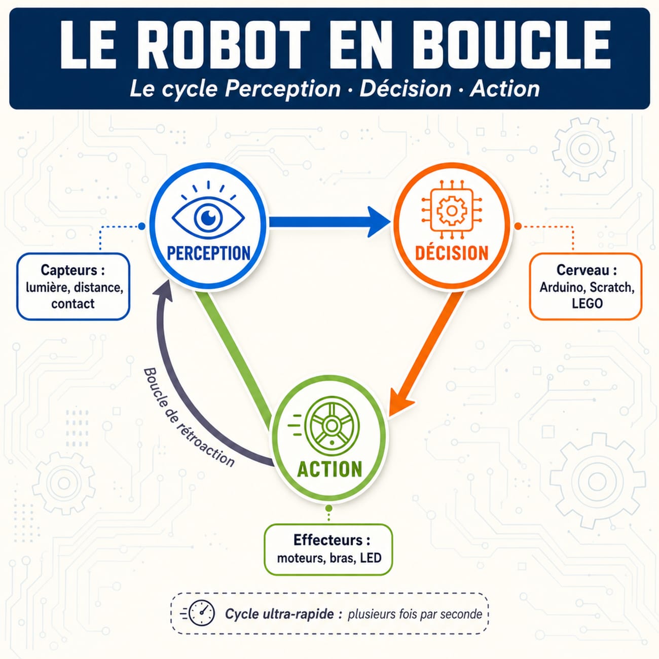 Infographie schématique du cycle du robot en boucle avec perception, décision, action et exemples de capteurs, cerveau et effecteurs.